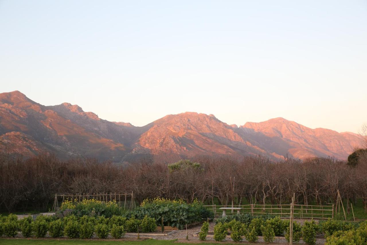 La Chataigne Wines & Guest Cottages Franschhoek Exterior foto